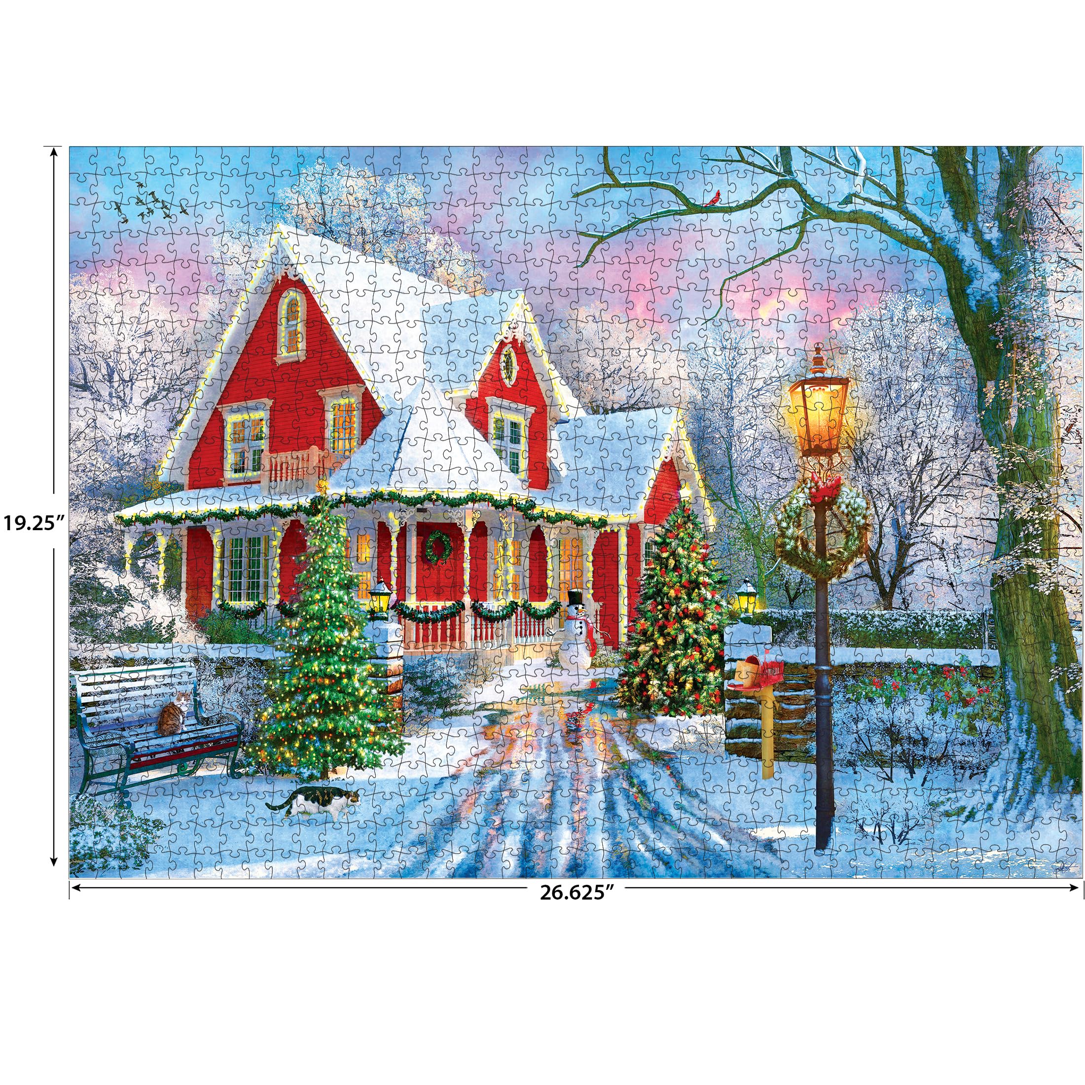 Amazon.com: RoseArt - Kodak Premium - Christmas at Home - 1000